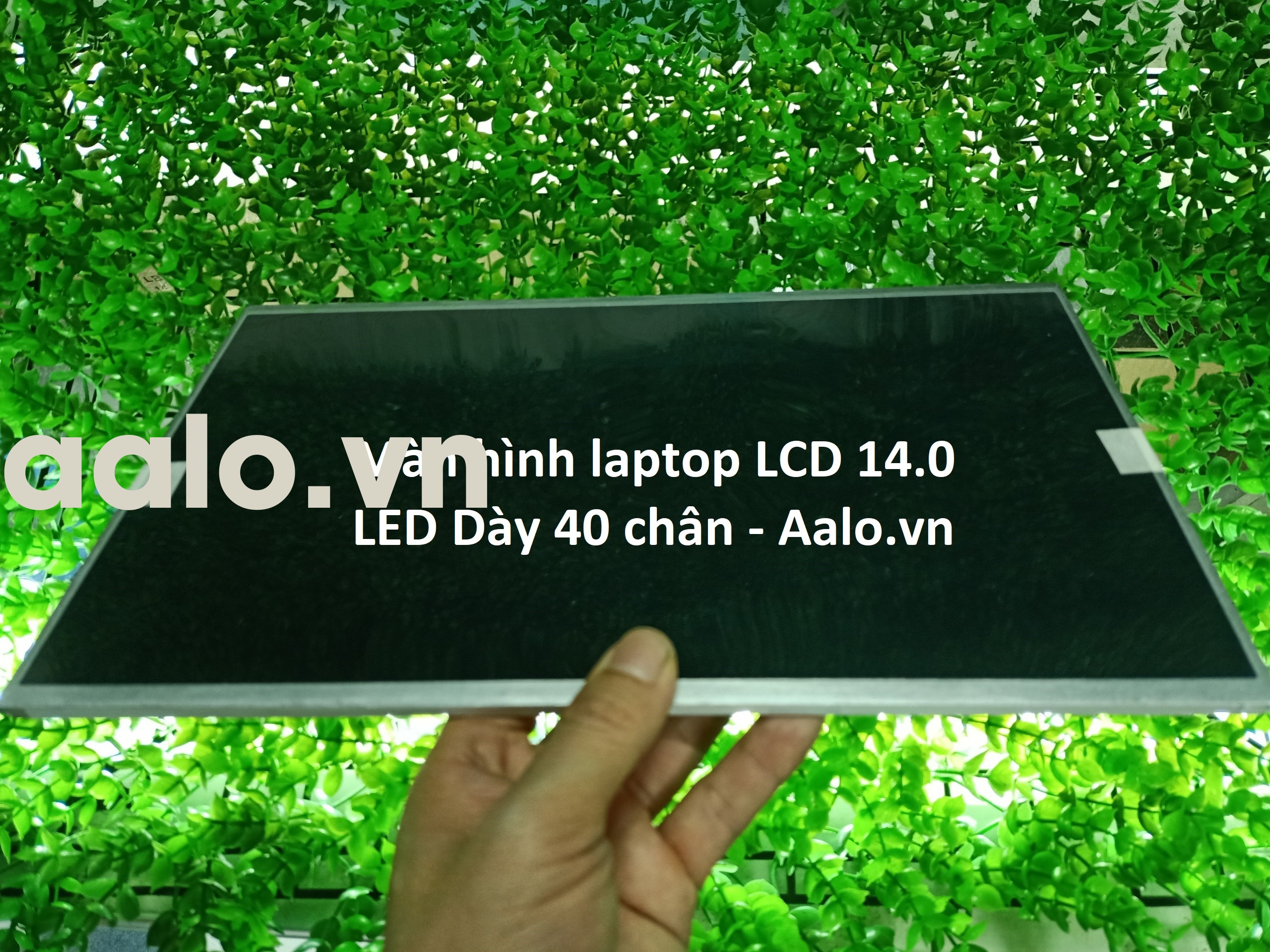 Màn hình Laptop Lenovo Thinkpad SL410